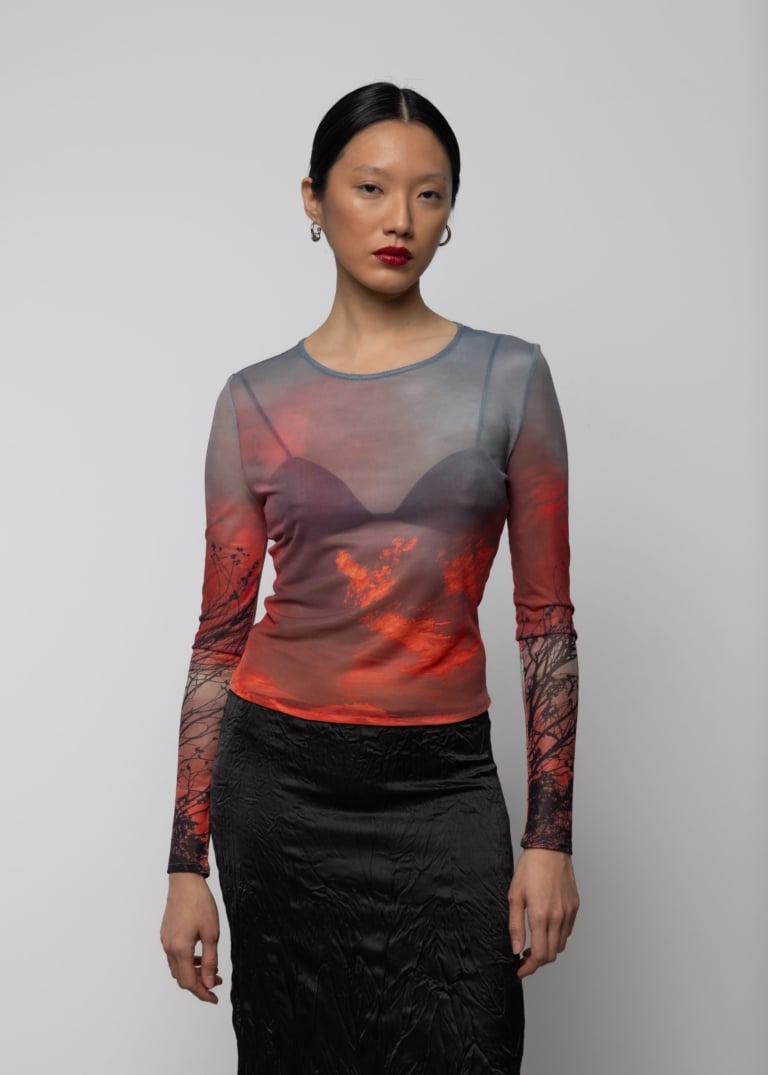 Mesh Long Sleeve Top