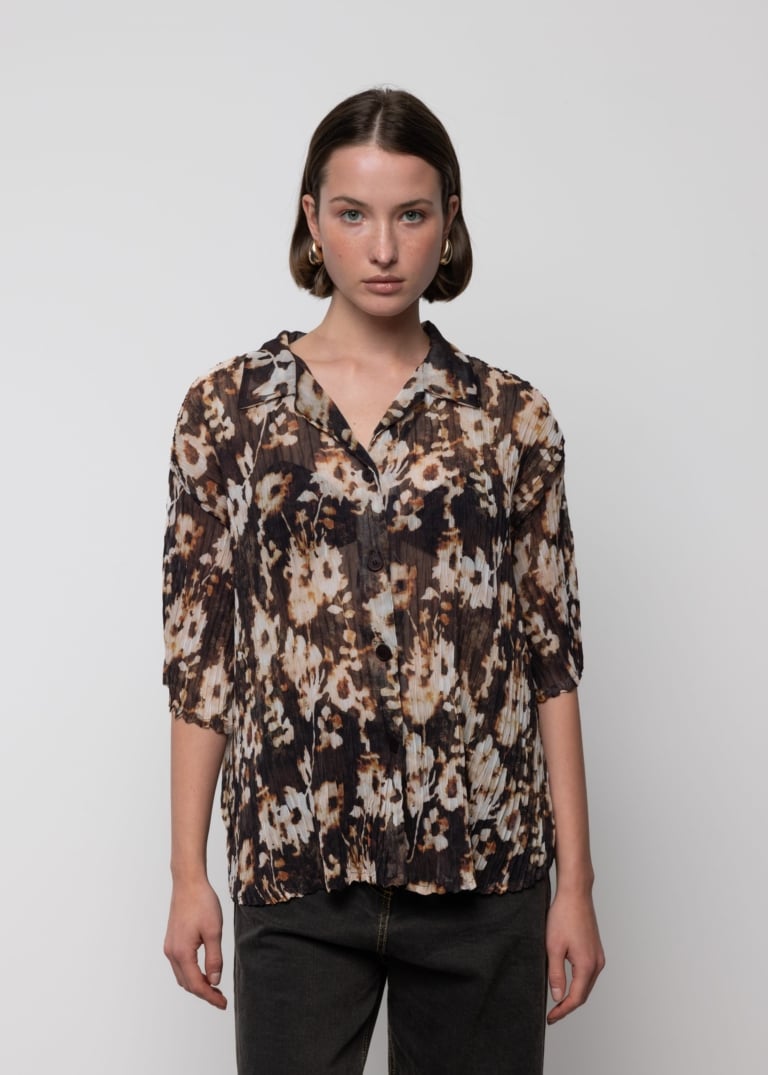 Sheer Chiffon Shirt