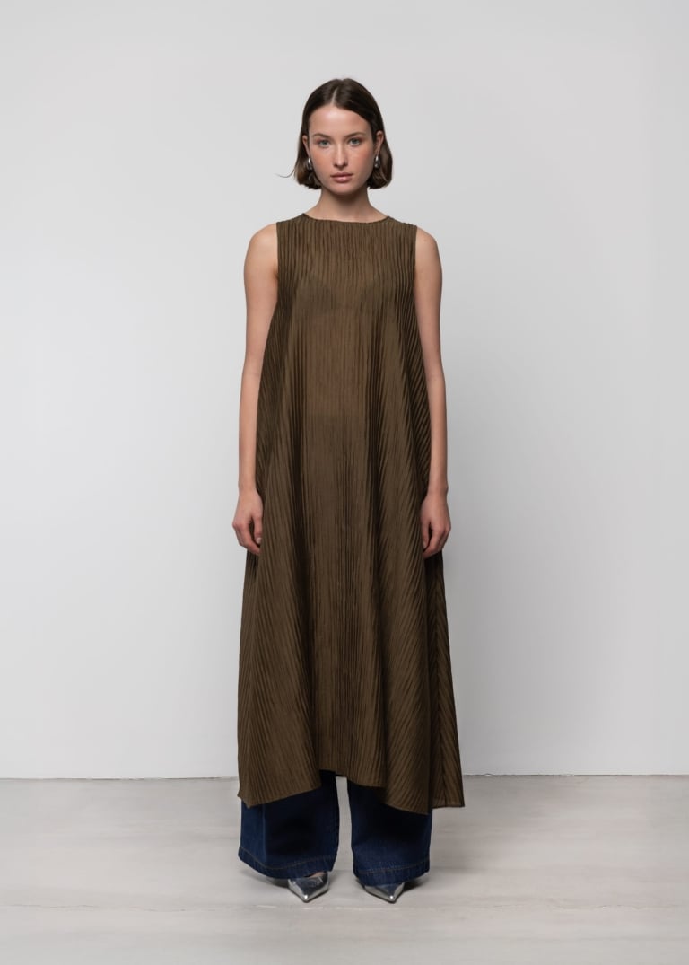 Sheer Pleated Maxi Dress