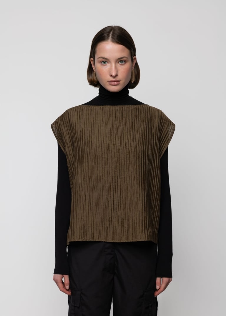 Sheer Crinkle Pleated Top