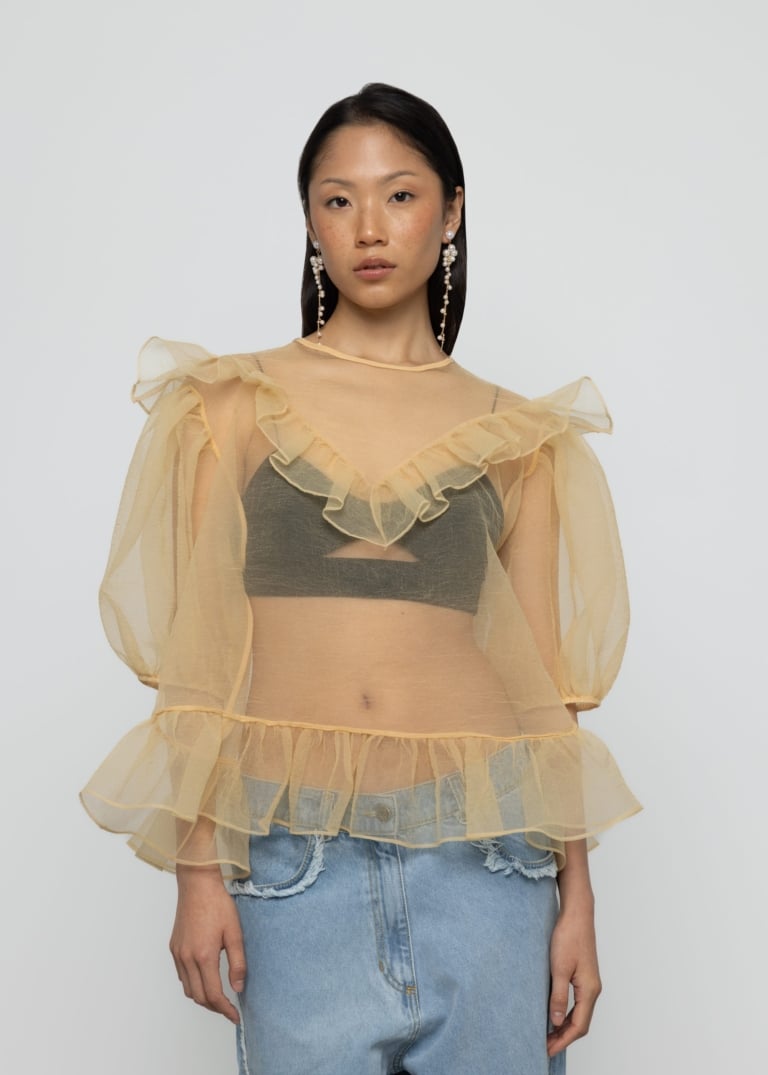 Organza Balloon Sleeve Top